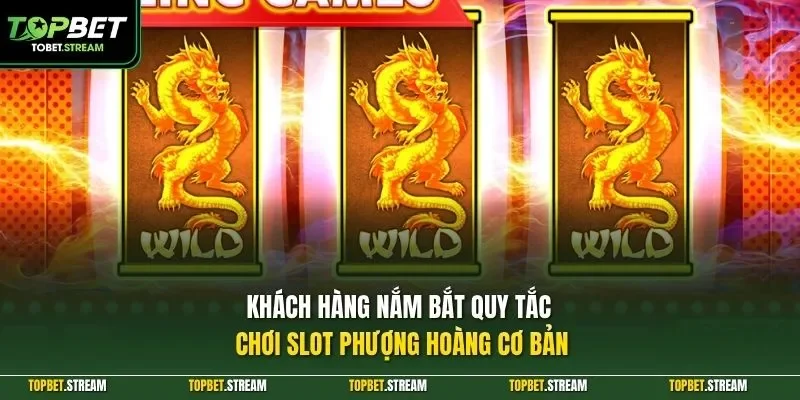 Khách hàng nắm bắt quy tắc chơi slot Phượng Hoàng cơ bản